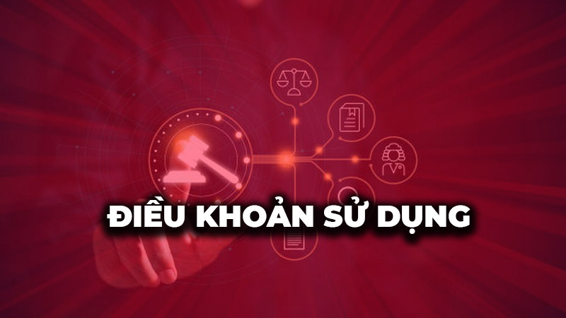 Các điều khoản sử dụng mà Bsport áp dụng Các điều khoản sử dụng mà Bsport áp dụng